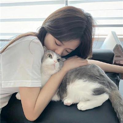 渐入佳境